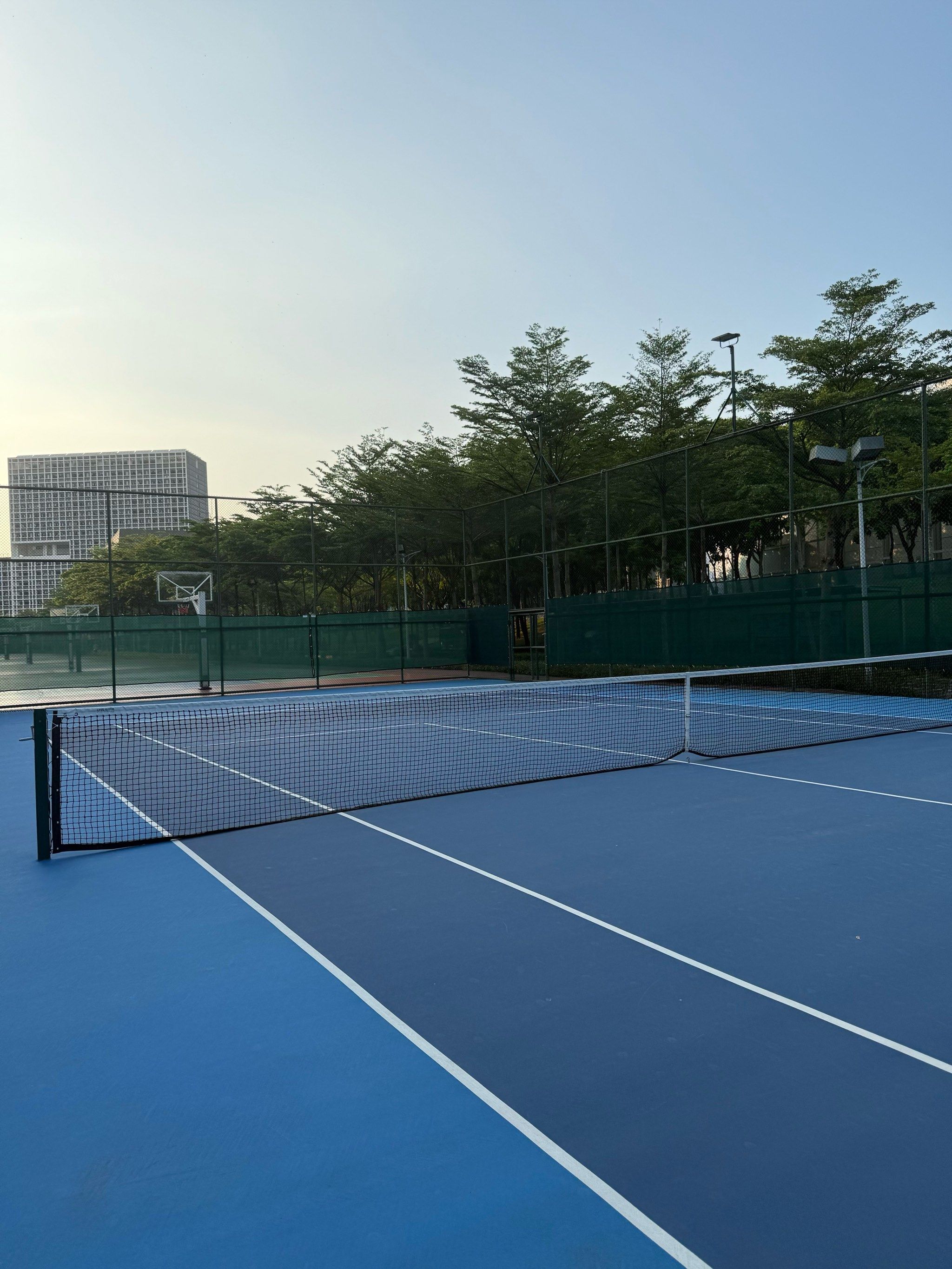 电竞职业化 电竞职业化