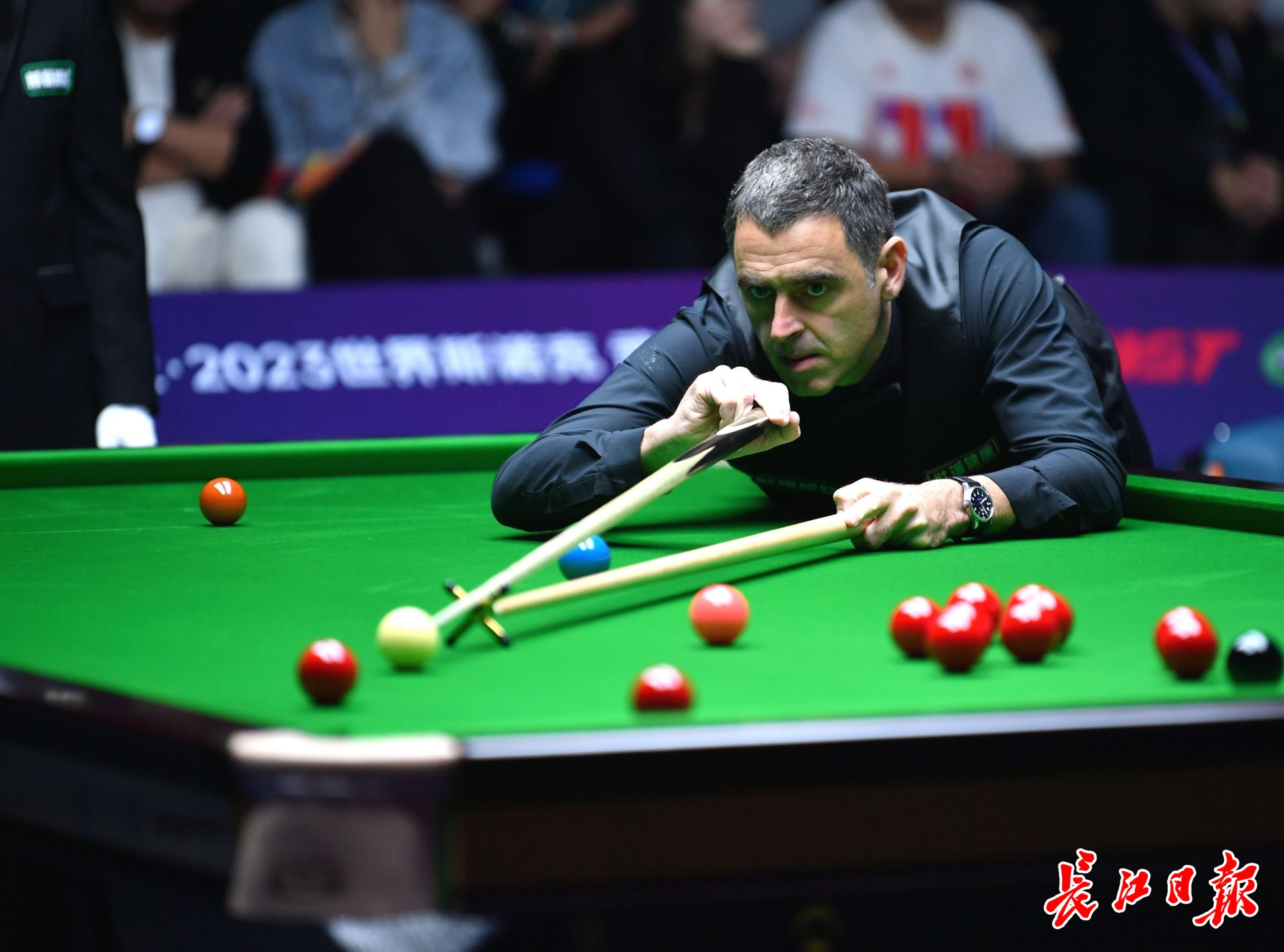 强化了公平 强化了公平